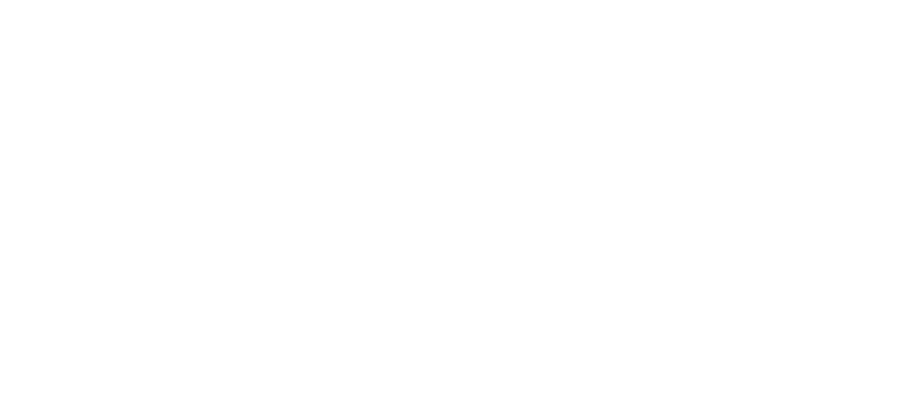 Wild Creativity Logo